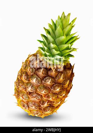 Whole pineapple fruit isolated on white. Tropical fruit. Stock Photo