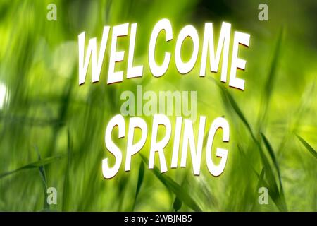 Springtime concept with wild flowers and blurred background, selective focus, with text Welcome spring Stock Photo