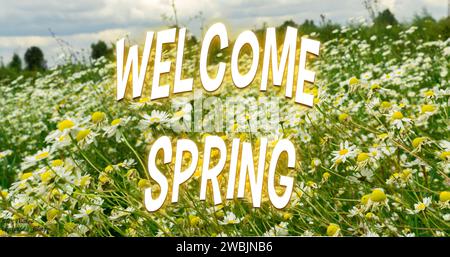 Springtime concept with wild flowers and blurred background, selective focus, with text Welcome spring Stock Photo