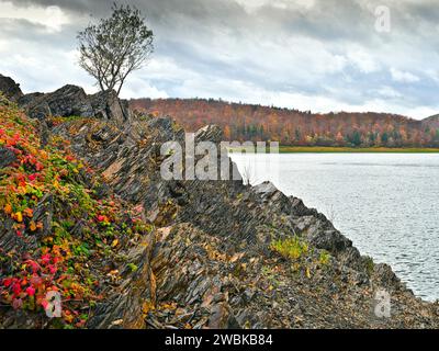 Europe, Germany, Hesse, Waldecker Land, Kellerwald-Edersee Nature and National Park Stock Photo