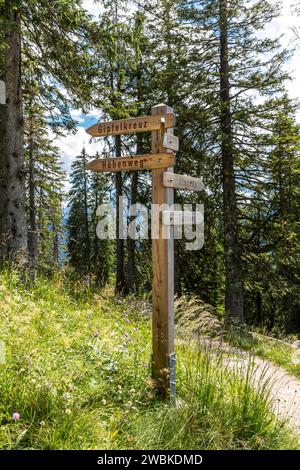 Signposts, hiking trails on the Predigstuhl, Lattengebirge, Bad Reichenhall, Bavaria, Germany, Europe Stock Photo