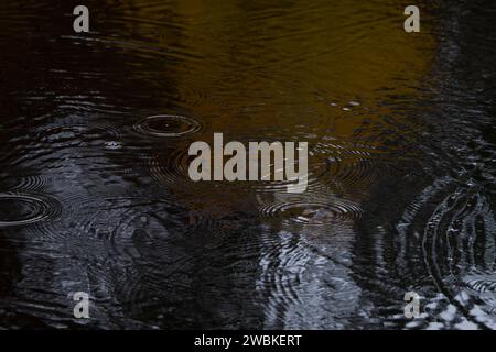 small waves, circles and light reflections on the surface of a lake, Germany Stock Photo