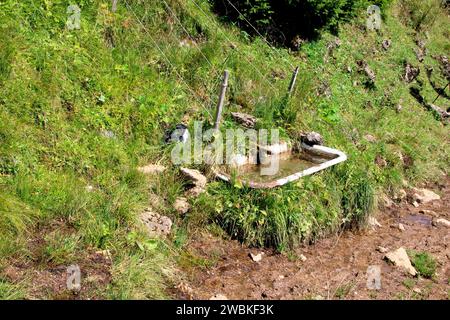 View of a water trough for cattle supply near the Tiefenbachalm in the Bächental, Eben am Achensee, Tyrol, Austria Stock Photo