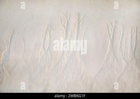 Beautiful Wavy Sand texture beach for background, Top view. for summer designs, copy past. Nature background concept Stock Photo