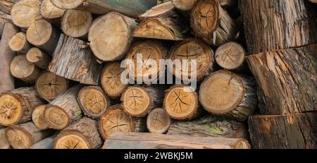 Background of round dry wood logs cut and stacked with daylight Stock Photo