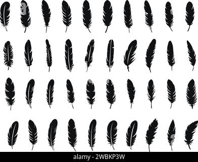 Set of Bird Feather. Feathers vector in a flat style. Pen icon. Black quill feather silhouette. Plumelet collection Stock Vector