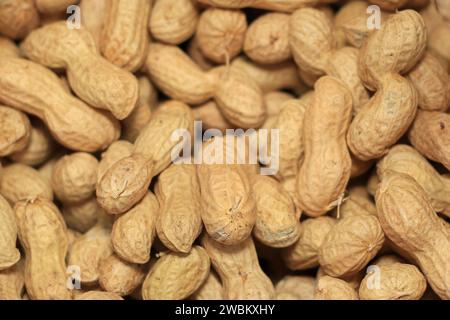 Lots of raw peanuts in shell. Stock Photo