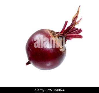 Beetroot isolated on white background with clipping path Stock Photo