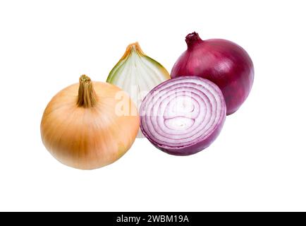 Onion. Whole and sliced onions isolated on white background. Full depth of field. Stock Photo