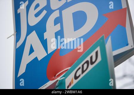 Wahlplakat, AfD, Bundestagswahl 2021, Deutschland Stock Photo - Alamy