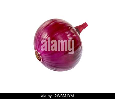 Onions. Onion bulbs isolated on white background Stock Photo