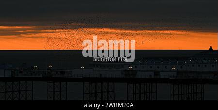 Brighton UK 11th January 2024 - The sun sets behind Brighton Palace Pier during the starling murmuration at dusk after another cold day along the South Coast with more snow forecast for early next week in the UK : Credit Simon Dack / Alamy Live News Stock Photo