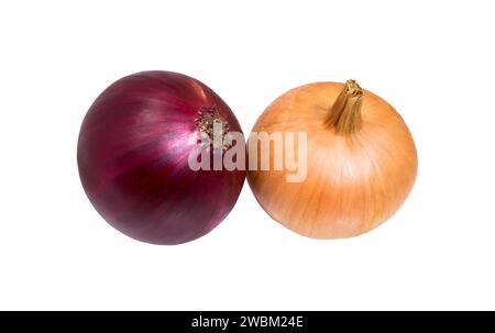 Onions. Onion bulbs isolated on white background Stock Photo