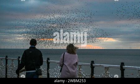 Brighton UK 11th January 2024 - Visitors watch the starling murmuration from Brighton Palace Pier at dusk after another cold day along the South Coast with more snow forecast for early next week in the UK : Credit Simon Dack / Alamy Live News Stock Photo