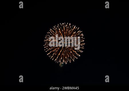 Golden firework burst against a dark night sky. Stock Photo