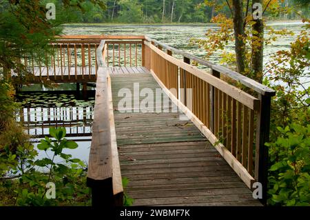 Observation dock at Tillinghast Pond, Tillinghast Pond Management Area, Rhode Island Stock Photo