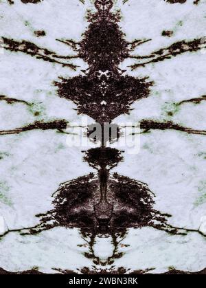 natural pattern with abstract fossil insect Stock Photo