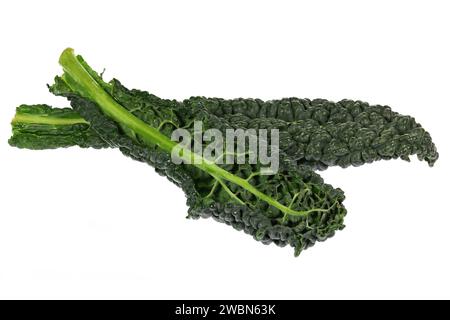 palm kale isolated on white background Stock Photo