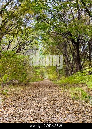 Detailed Enchanting Hair Oil Artwork Illustration Detailed Enchanting Hair Oil Artwork Illustration