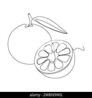 Continuous one line drawing of fresh orange fruit isolated on white background. Stock Vector