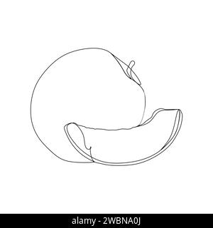 Continuous one line drawing of a mandarin. Vector illustration for food and nature design element or concept Stock Vector