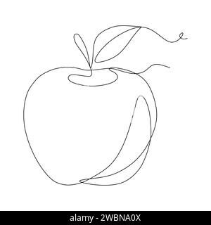 Continuous one line drawing of apple. Single line art fruit. Stock Vector