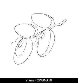 Continuous one line drawing of dates palm fruit. Vector illustration for food and nature concept Stock Vector