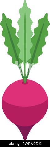 Red beet food icon isometric vector. Borsch ingredient. Cook meal Stock Vector