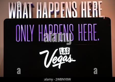 Las Vages, NV, USA. 11th Jan, 2024. View of CES 2024 in Las Vegas, Nevada, on January 11, 2024. Credit: Dee Cee Carter/Media Punch/Alamy Live News Stock Photo