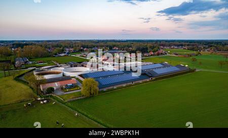 This aerial shot captures a contemporary farming complex at dusk, as the days last light paints the scene with soft hues. The farm features a range of buildings with modern designs, including circular structures and expansive roofs equipped with solar panels, highlighting a commitment to sustainability. Surrounding the farm, open green fields stretch towards a rural residential area, blending the boundaries between progressive agriculture and countryside living. Cows can be seen grazing, adding a traditional farming element to the otherwise modern setup. The image reflects the integration of m Stock Photo