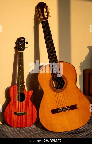 A guitar and a ukulele. Stock Photo
