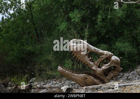 Ajaltoun, Lebanon - August 14, 2022. Satue of a T-rex dinosaur skeleton in the Dino City Park in Ajaltoun, Lebanon. Stock Photo