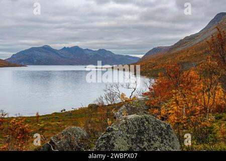 boulder by glacier in Norway Stock Photo - Alamy