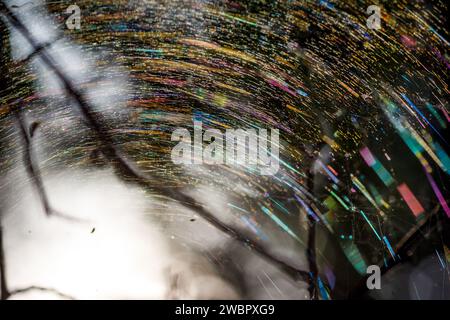 A large rainbow web on the branches of a tree, playing with many colors due to the refraction of light. Colorful forest abstract background Stock Photo