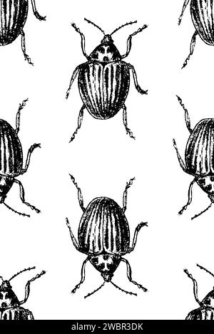 Bug. Vector hand drawn sketch illustration. Sloppy doodle grunge style. Seamless pattern Stock Vector