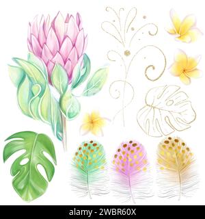 Watercolor set of pink protea, tropical monstera leaves, frangipania flowers and colorful feathers. Ideal for creating bouquets and compositions, wedd Stock Photo