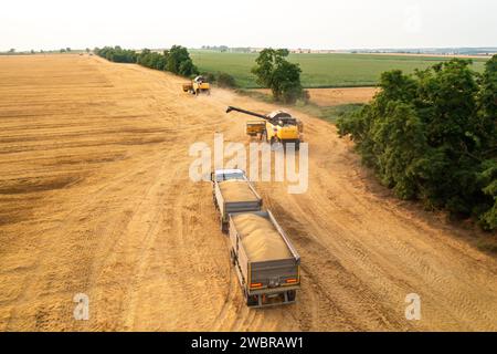 BERLIN , GERMANY - JULY 15 2023: Combine harvester with unloading pipe drives along empty field aerial view. Reaping machine finishes work at farmland in summer evening Stock Photo
