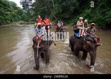 Thailand, Chiang Mai  province; Tourists having an elephant ride. Stock Photo
