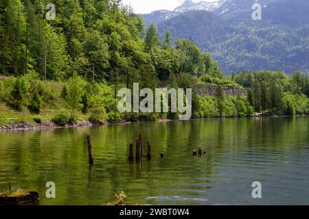 shore of the lake among the mountain peaks Stock Photo