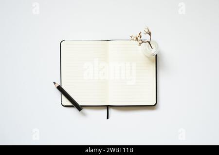 Open diary notebook with pen and vase of dry plant on white desk background. flat lay, top view Stock Photo