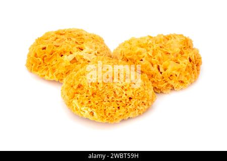 Dried snow fungus on a white background Stock Photo