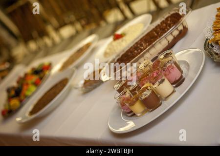 This photograph showcases a sumptuous dessert buffet, inviting guests to a sweet ending of their meal. The image is angled to focus on a variety of desserts, from layered parfaits in glass jars to rich, decadent cakes, all arranged with care on a well-laid table. The depth of field blurs the background, highlighting the nearest desserts and giving a glimpse of the array of choices available. The arrangement on silver platters adds an element of elegance to the presentation, suggesting a special occasion where desserts are not just treats, but part of the celebration. Sweet Finale: A Dessert Bu Stock Photo