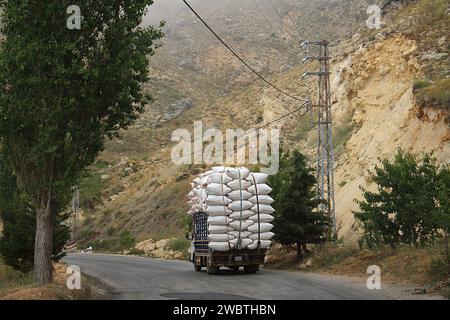 A pickup truck loaded with white bags driving on a rural road in Lebanon. Stock Photo