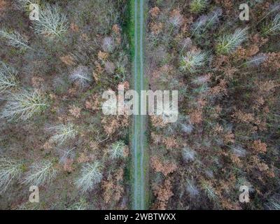 A path between a forest and a field in winter, seen from above Stock Photo