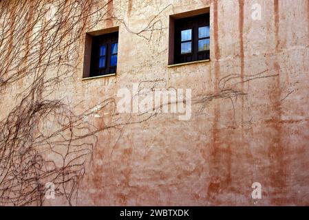 Abandoned structure featuring a dilapidated facade and two windows Stock Photo