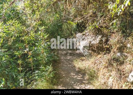 Stone steps on the path / trail leading up to the top of Huayna Picchu mountain at Machu Picchu in Peru Stock Photo