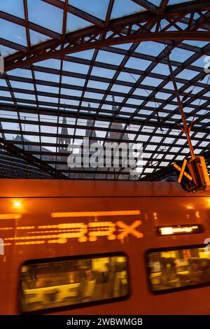 Cologne Central Station, RRX, regional express train, glass roof, Cologne Cathedral, Cologne, NRW, Germany, Stock Photo