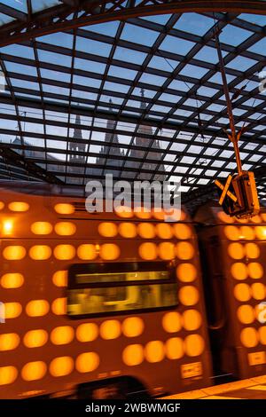 Cologne Central Station, RRX, regional express train, glass roof, Cologne Cathedral, Cologne, NRW, Germany, Stock Photo