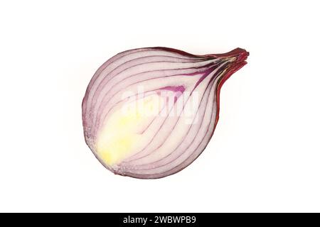 Sliced half of red onion isolated on white background Stock Photo