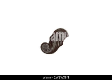 Single dark chocolate seahorse praline isolated on white background Stock Photo